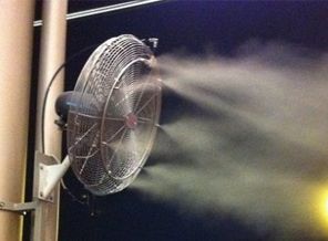 Dikkat! 10 gün içinde ölebilirsiniz