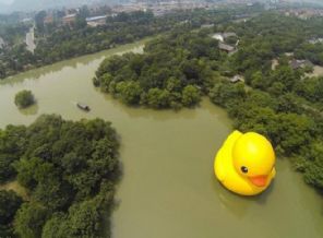 Dev ördek heykeli sele kapıldı