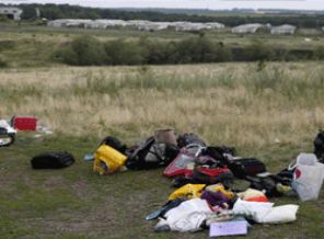 Ukrayna'da düşen uçağa erişim sınırlandı