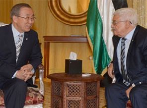 BM'den acil ateşkes çağrısı