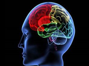 Orucun beyin üzerindeki inanılmaz etkisi