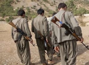 12 PKK'lı teslim oldu