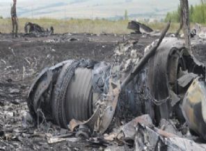 Cezayir yolcu uçağı düştü