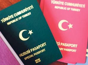 AB ülkesinden vize müjdesi