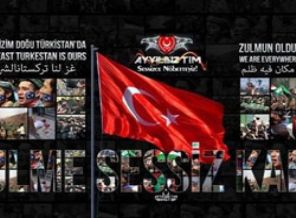 Ayyıldız Timi İsrail televizyonlarını hackledi