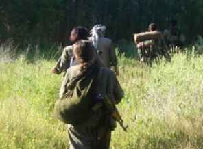 PKK Ceylanpınar'daki çatışmayı üstlendi