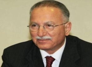 'Kediler 15 dakikalığına trafolara koşabilir'