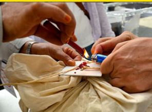 Oylar Türkiye'ye getiriliyor