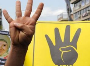 Dünya Rabia Günü'nde alanlara çıkılacak