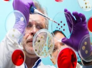 Ölümcül Ebola'nın tedavisi bulundu!