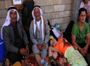 Felaket! Tüm Yezidiler ölecek!