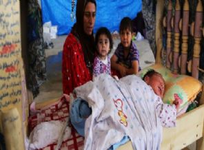 Doğduğu gün sığınmacı oldu