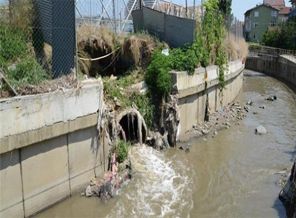 Kadıköy'de ürküten koli basili raporu
