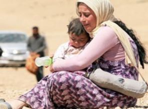 Ölüm kalım savaşı