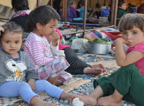 Yezidiler için Şanlıurfa'da kamp kurulacak