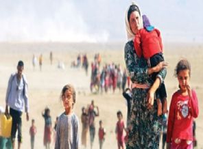 16 bin Yezidi'ye otel kamp