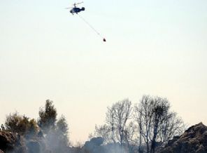 Muğla'da orman yangını