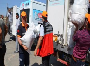 Şanlıurfa'ya sığınan Yezidilere yardım