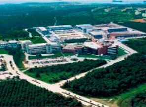 Paraleller sahip çıktı