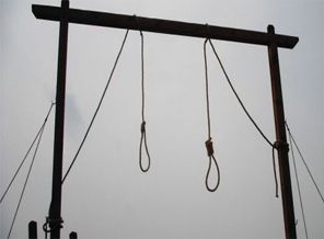 Taliban 5 sivili idam etti