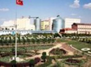 IŞİD, Karaman'ın ihracatını vurdu