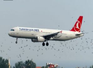 Yüreklerin ağza geldiği anlar!