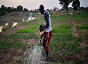 Milyonlarca hektar arazi yabancı devletlerin eline geçiyor