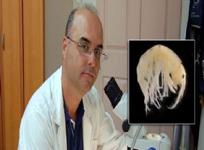 İran'da bulundu ismini Türk bilim adamı koydu