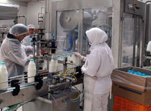 Süt ve süt ürünlerine sıkı denetim