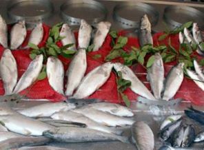 Tezgahlar 1 Eylül'ü Bekliyor