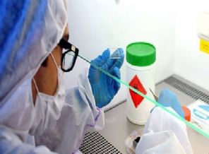 Ebola virüsünü teşhis eden test geliştirildi