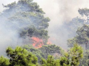 Muğla'daki yangına havadan müdahale