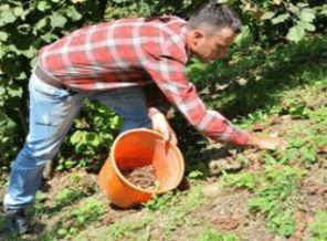 Yüksek lisanslı çiftçi