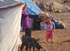 Mayınlı arazide yaşam mücadelesi