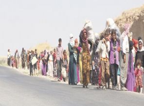Ezidilere gaz bombası iddiası
