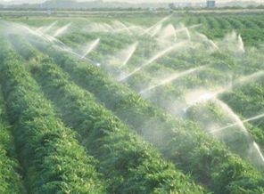 Çiftçi'nin elektrik borcu destekten kesilecek