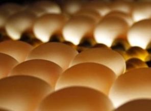 Rusya rotayı Türkiye'ye çevirdi