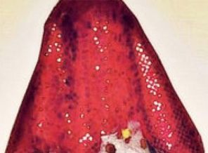 'Berdel' toplu iş sözleşmesine girdi