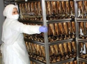 Keban'dan 6 Avrupa ülkesine ihraç ediliyor