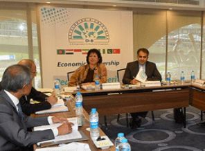 'D-8 Akil Adamlar Grubu' İstanbul'da