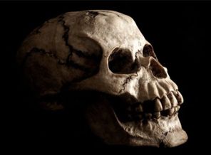 Anadolu insanının DNA'sı çıkarılacak