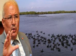 Kocamaz: Kuş cenneti yeniden canlanacak