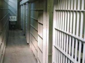 Muhalif liderin kızına tahliye