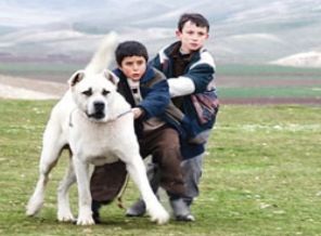 Venedik'ten 2 ödülle döndü