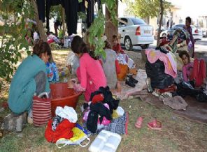 Yezidilerin şantiyedeki yaşam mücadelesi