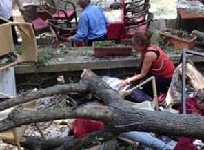 Devrilen o ağacın altından dram çıktı!