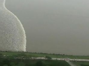 'Kiantang Dalgası' dehşeti