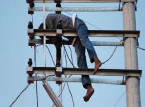 Elektrik direğinde can verdi!