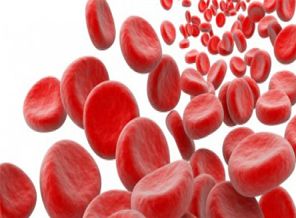 Kan grubu AB olanlara kötü haber