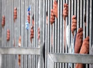 Mısır'da 242 kişi açlık grevine başladı